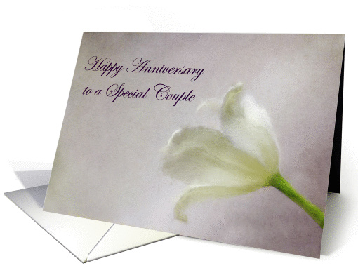 Happy Anniversary Special Couple card (1405568)