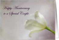 Happy Anniversary Special Couple card