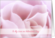 To My Love Valentine Rose card