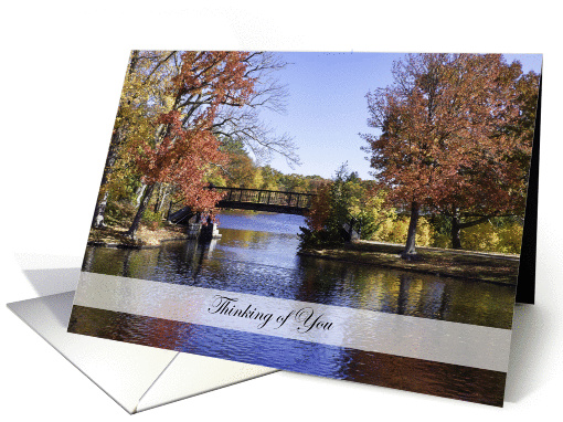 Fall Colors Always Thinking of You card (1417724)