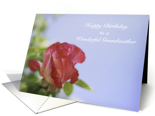 Floral Happy Birthday to Grandmother card (1420578)