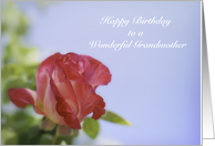 Floral Happy Birthday to Grandmother card