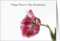 Happy Easter Tulip Custom Front card