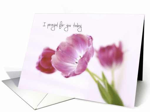 Prayed For You Today Tulips card (1423400)