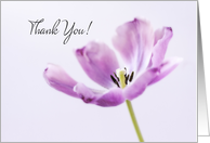 Thank You for Kindness Tulip card