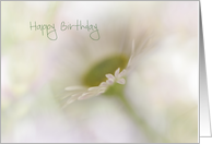 Dreamy Floral Happy Birthday card