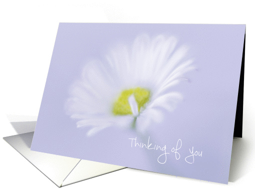 White Daisy Thinking of You Offer to Help card (1429060)