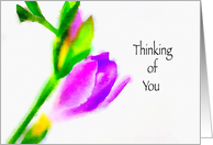 Watercolor Floral Thinking of You Blank Inside card