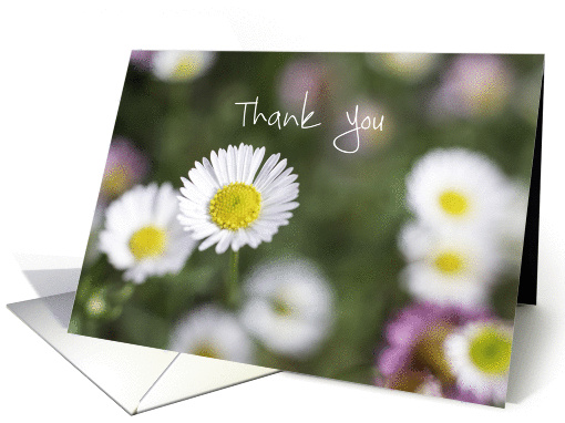Thank You Daisies One in a Million card (1429304)