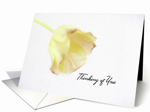 Thinking of You Yellow Tulip Blank Inside card (1429680)
