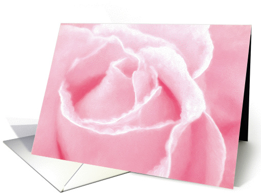 Painted Pink Rose Notecard Blank Inside card (1430188)