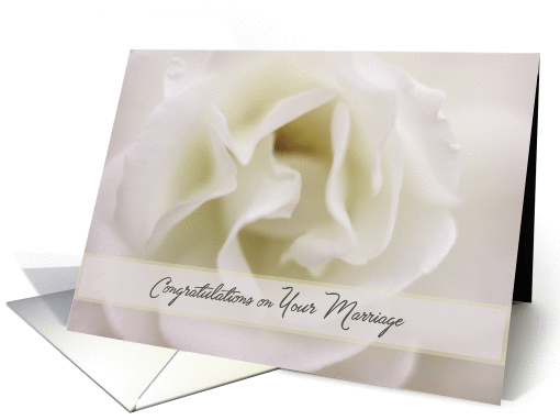 Congratulations on Marriage Soft White Rose card (1430614)