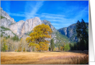 Yosemite Landscape...