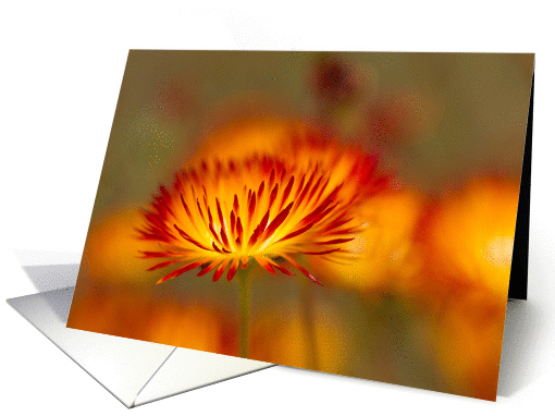 Orange, Red, and Yellow Floral Notecard Blank Inside card (1432266)