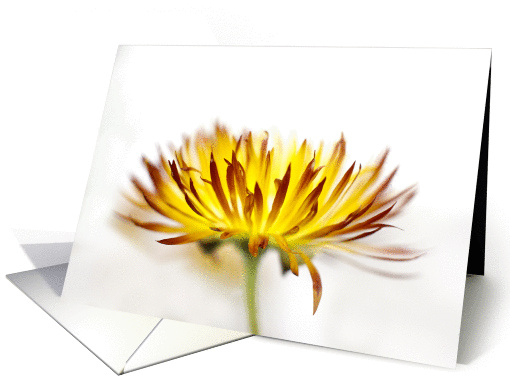Orange, Red, and Yellow Floral Notecard Blank Inside card (1432268)