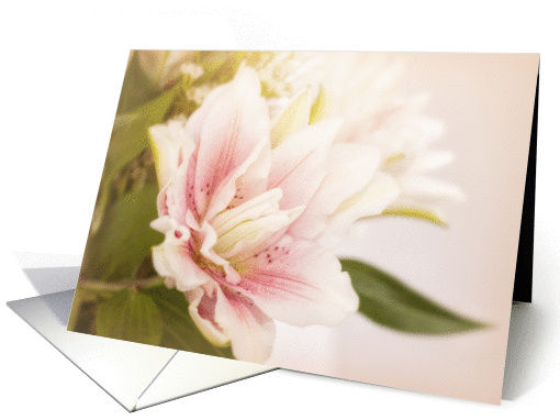 Pink and White Lily Floral Notecard Blank Inside card (1433124)