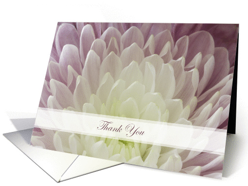 Chrysanthemum Thank You Note card (1435004)