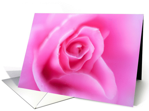 Pink Rose Note Card Blank Inside card (1436930)