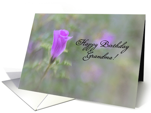 Purple Floral Custom Birthday Wishes card (1437128)