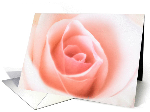 Happy Anniversary Soft Pink Rose card (1445550)