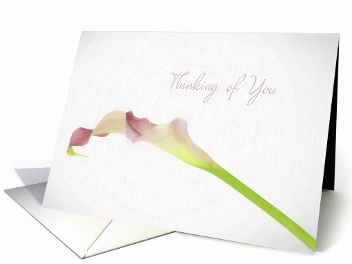 Thinking of You Pink Calla LilyCard card (1452306)