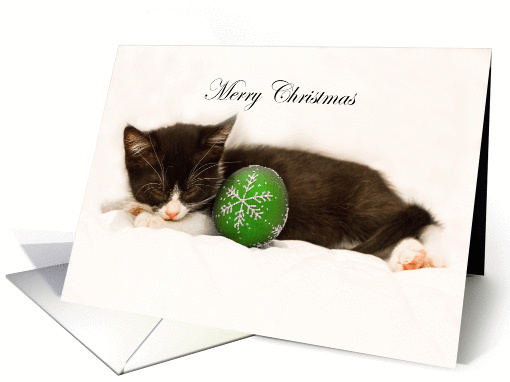 Merry Christmas Sleeping Kitten card (1459536)