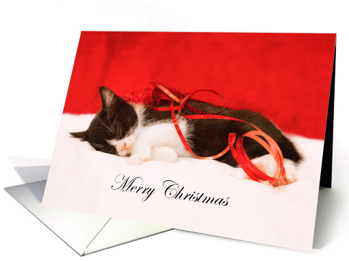 Merry Christmas Sleeping Kitten card (1459538)