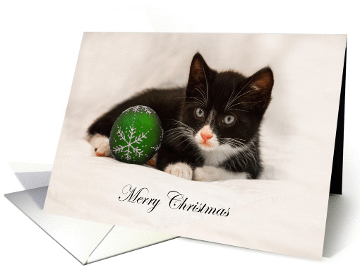 Merry Christmas Kitten card (1459546)