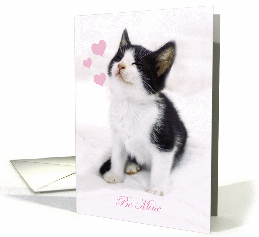 Valentine Kitty card (1462610)