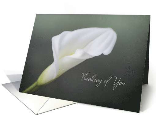 Thinking of You Calla Lily Blank Inside card (1465778)