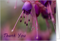 Thank You -...