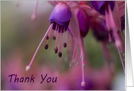 Thank You - photography card