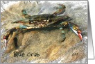 Coastal Blue Crab Blank Card
