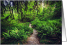 Rainforest Ferns and Mossy Trees Blank Card