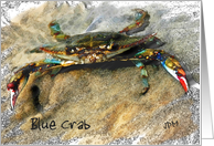 Coastal Blue Crab Blank Card