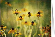 Floral - Blank card