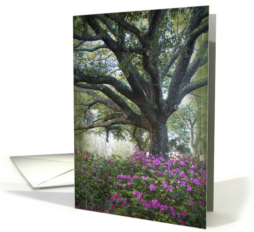 Oaks and Azaleas - Blank card (1146130)