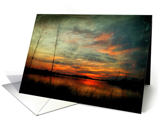 Sunset along the Bayou Blank card (1208122)