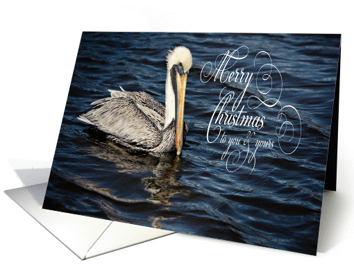 Brown Pelican Gulf Coast Merry Christmas card (1208438)