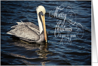 Brown Pelican Gulf Coast Merry Christmas card