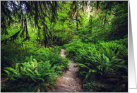 Rainforest Ferns and Mossy Trees Blank Card