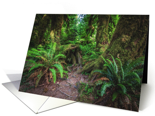 Rainforest Nature Blank card (1397860)