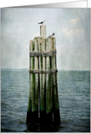 Birds on Channel Marker Blank Card