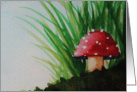 Toadstool card