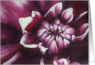 Purple Dahlia card