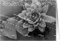 Serenity card