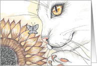 Cat and Sunflower...