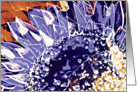 Blank - any occasion gift card- Flower & Garden - Sunflower - Purple card