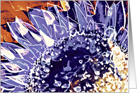 Blank - any occasion gift card- Flower & Garden - Sunflower - Purple card