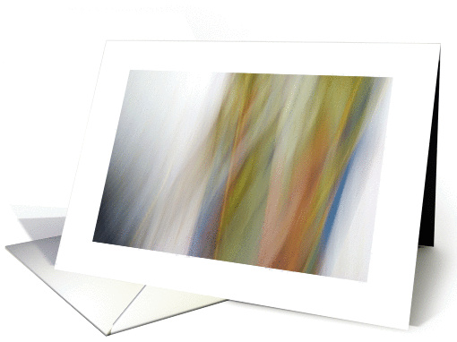 A Morning In Tilden 1 card (1161842)